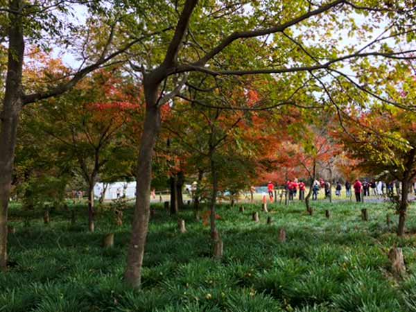 立川昭和記念公園